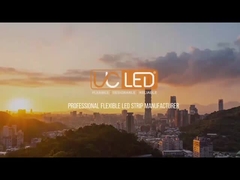 Come si producono i prodotti a strisce Led neo flex?